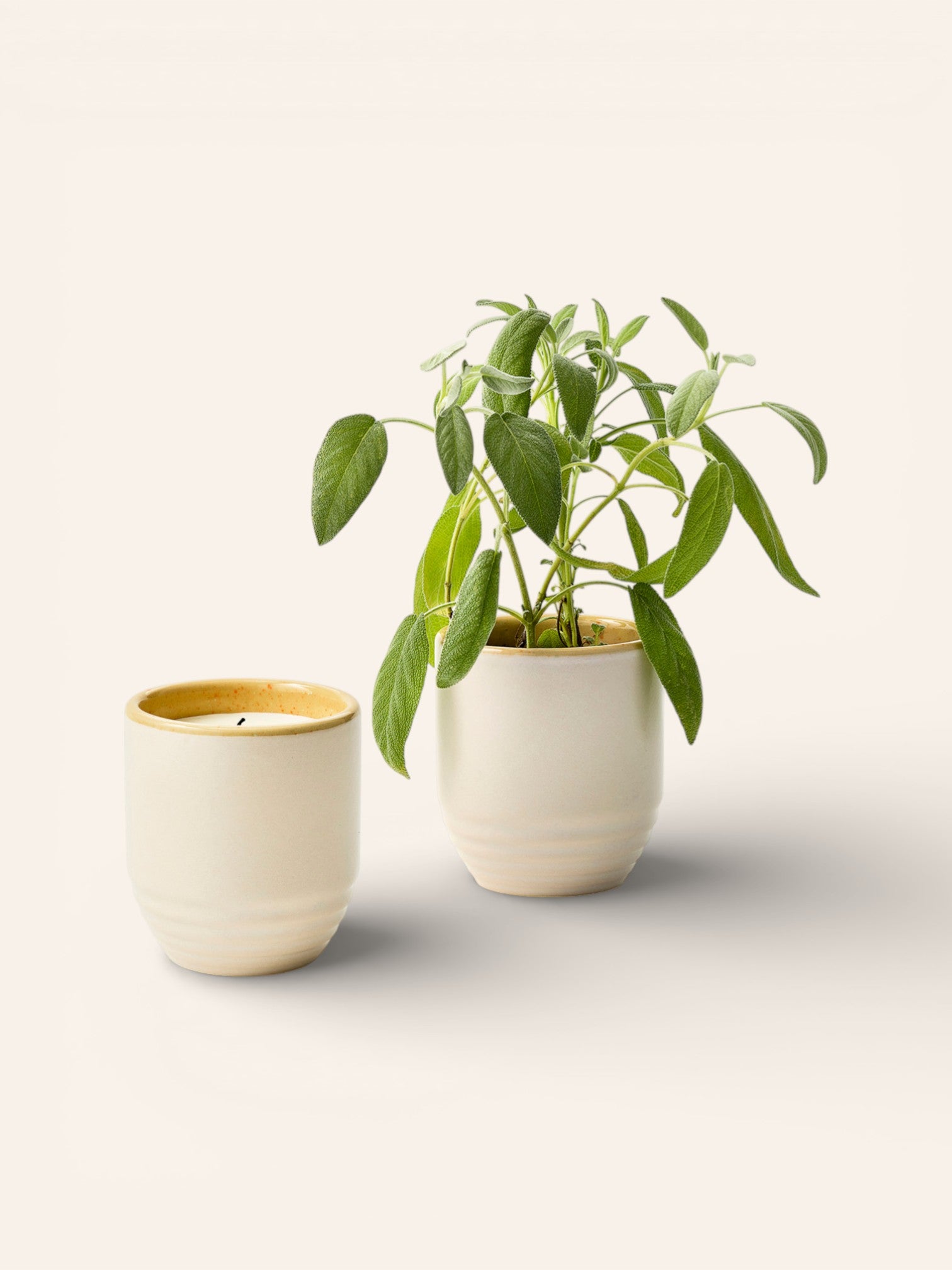 Garden Vibes Candle and Ceramic Planter - Heyday Goods