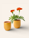 Garden Vibes Candle and Ceramic Planter - Heyday Goods