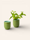 Garden Vibes Candle and Ceramic Planter - Heyday Goods