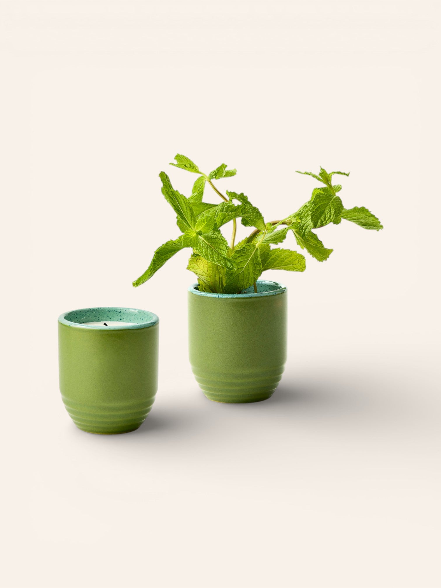 Garden Vibes Candle and Ceramic Planter - Heyday Goods