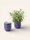 Garden Vibes Candle and Ceramic Planter - Heyday Goods