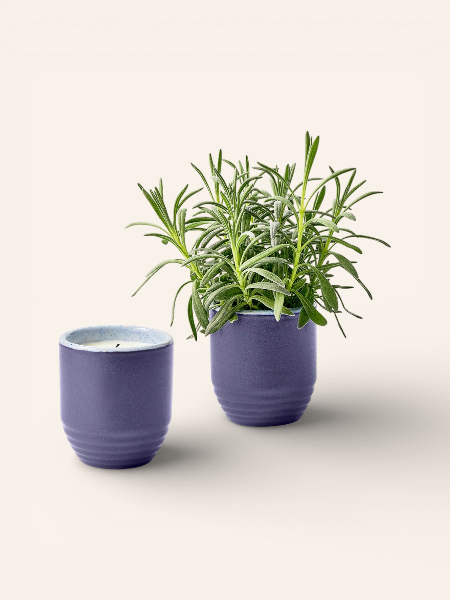 Garden Vibes Candle and Ceramic Planter - Heyday Goods