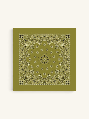PAISLEY PRINTED BANDANA
