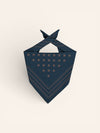 Tied & True Organic Cotton Bandana and Canvas Tote Kit - Heyday Goods