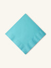 CLASSIC COCKTAIL NAPKINS | SOLID